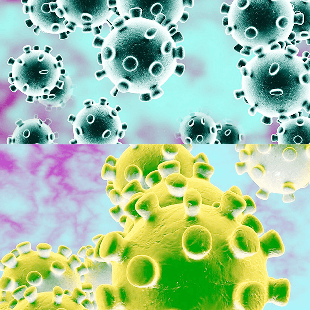 Hình ảnh về một số loại Viruss Hô Hấp