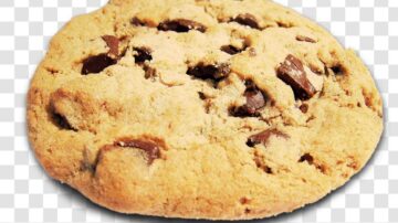 Thông báo việc chúng tôi sử dụng cookie của bạn trên webiste